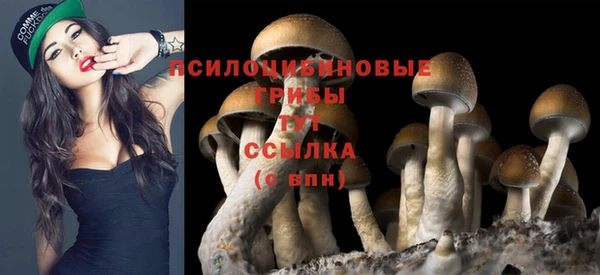 ECSTASY Аркадак