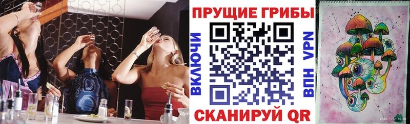 маркетплейс официальный сайт  Балтийск  Галлюциногенные грибы Magic Shrooms 