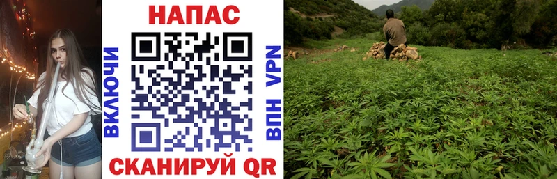 Конопля Bruce Banner  hydra как войти  Балтийск 